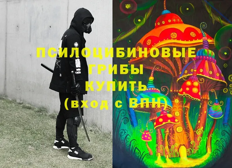 Галлюциногенные грибы MAGIC MUSHROOMS  продажа наркотиков  Звенигород 